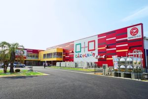 こんにゃくパークで手作り体験や詰め放題を楽しむ！