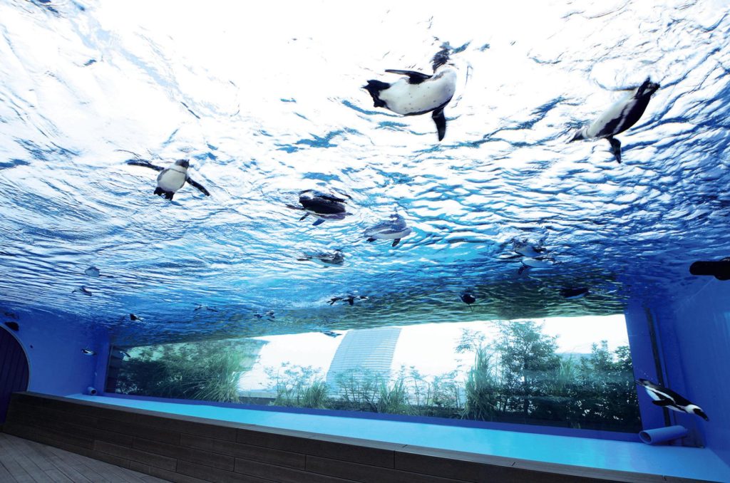 東京都内でファミリーにおすすめの水族館6選