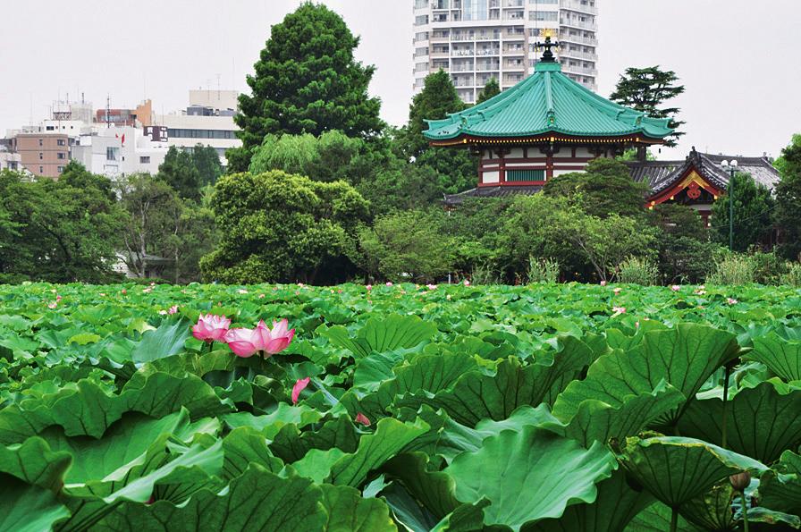東京都内で子供が楽しめるおすすめの公園5選