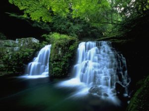 赤目四十八滝で滝巡り、忍者体験をファミリーで楽しむ！