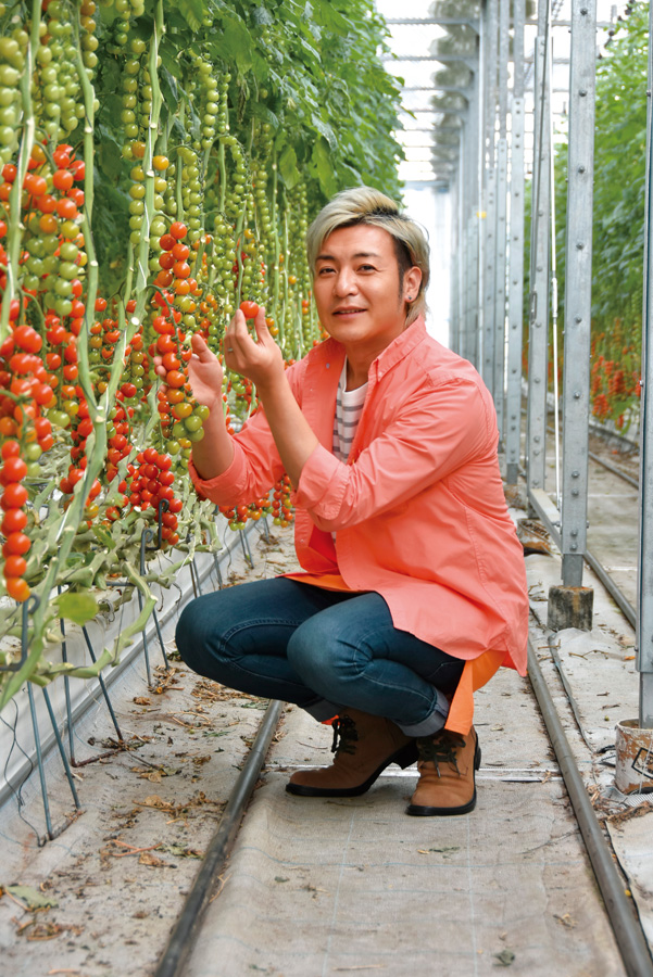 ハウス内の様子/井出トマト農園(神奈川県/藤沢市)