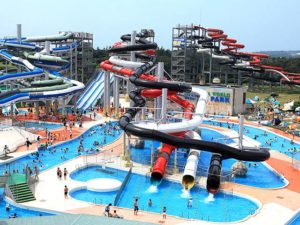 日本最大級のプールから屋内型プレイランドまで楽しめる芝政ワールド