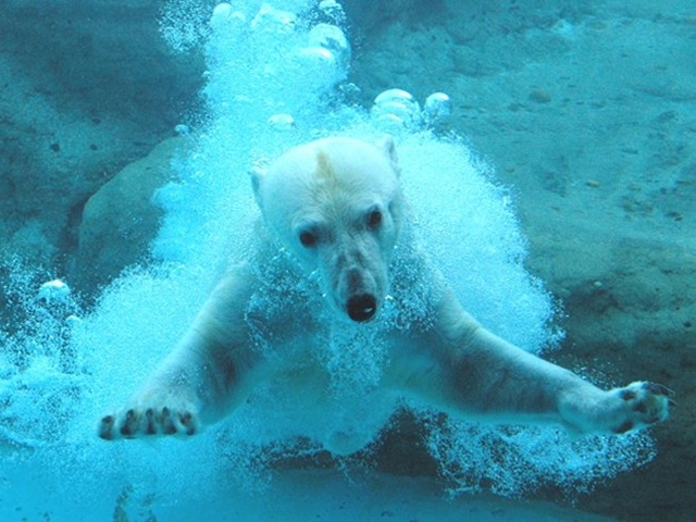 植物園、遊園地、動物園が一度に楽しめる！のんほいパークの見所とは？