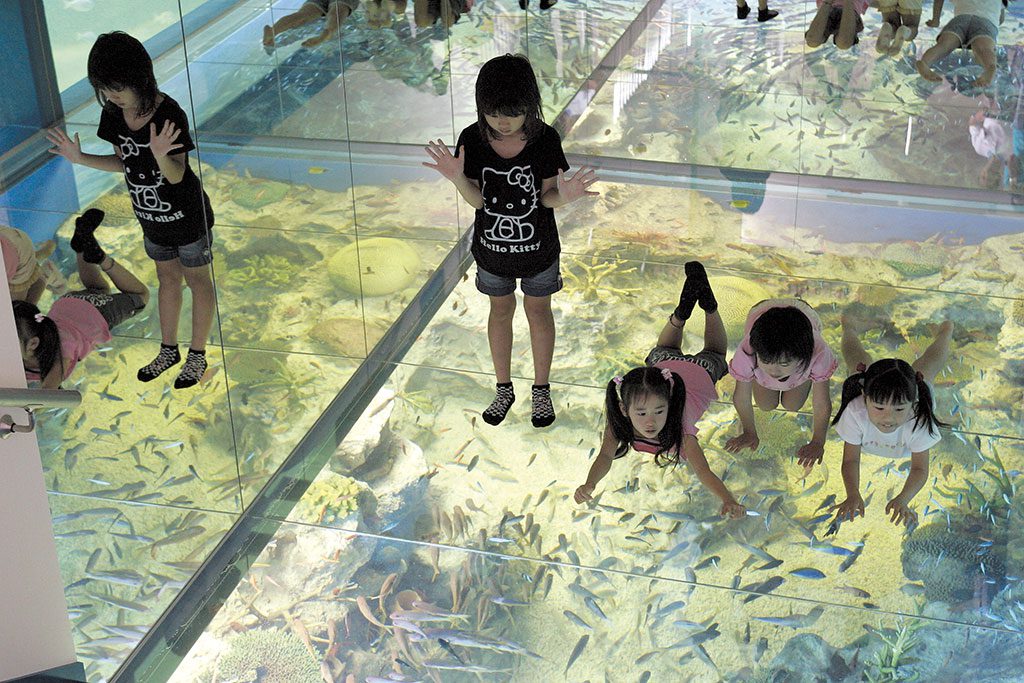 水面がガラス張りの水槽「さんごの海」の上に寝転ぶ子どもたち／越前松島水族館（福井県坂井市）