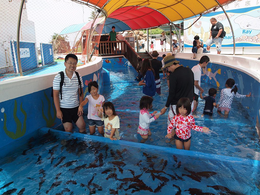 親子で賑わうじゃぶじゃぶ海水プール／越前松島水族館（福井県坂井市）