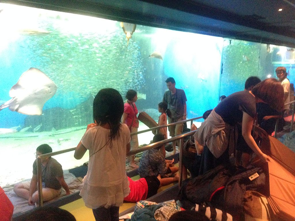 水槽の前で寝る準備をする親子たち／越前松島水族館（福井県坂井市）