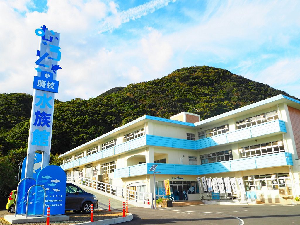 跳び箱やプールが水槽に?! むろと廃校水族館は、小学校ならではの展示が話題