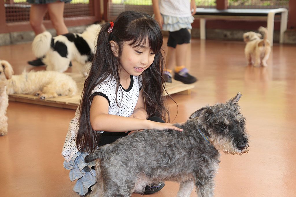 ふれあいハウスで犬を撫でる女の子／富士すばるランド（山梨県富士河口湖町）