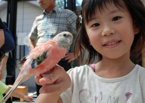 希少なコビトカバやホワイトタイガーも！いしかわ動物園（石川県）で楽しく学ぼう