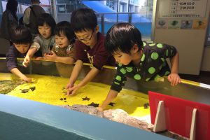 「魚津水族館」で富山ならではの展示、ふれあい、エサやり体験などを楽しもう