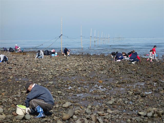 浜の宮海岸(築上)（福岡県／築上郡築上町）