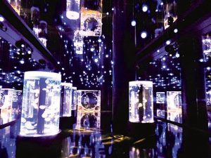 新感覚の水族館！アクアパーク品川の見所を紹介