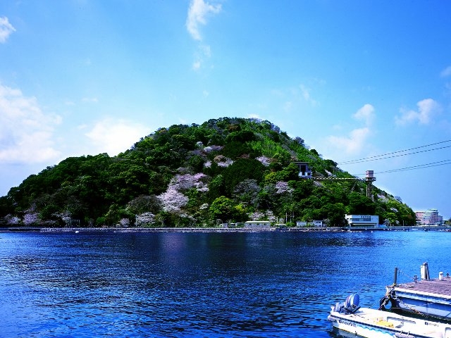 無人島がまるごと水族館！あわしまマリンパークの見所を紹介