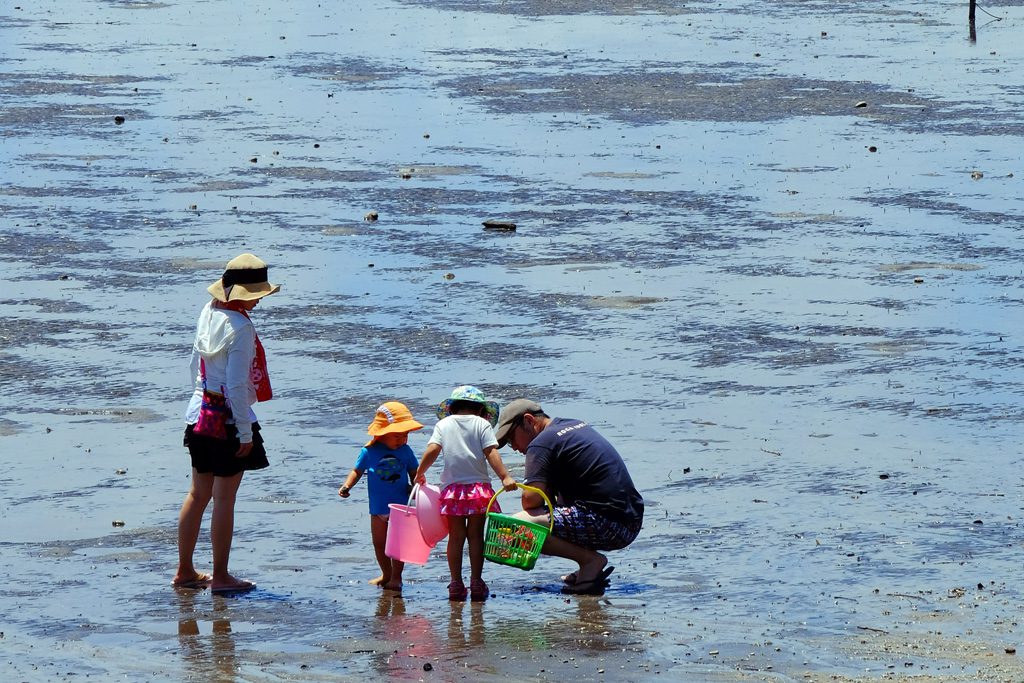 愛知県のおすすめ潮干狩り場（2025）アサリやマテ貝を採ろう！蒲郡・西尾ほか