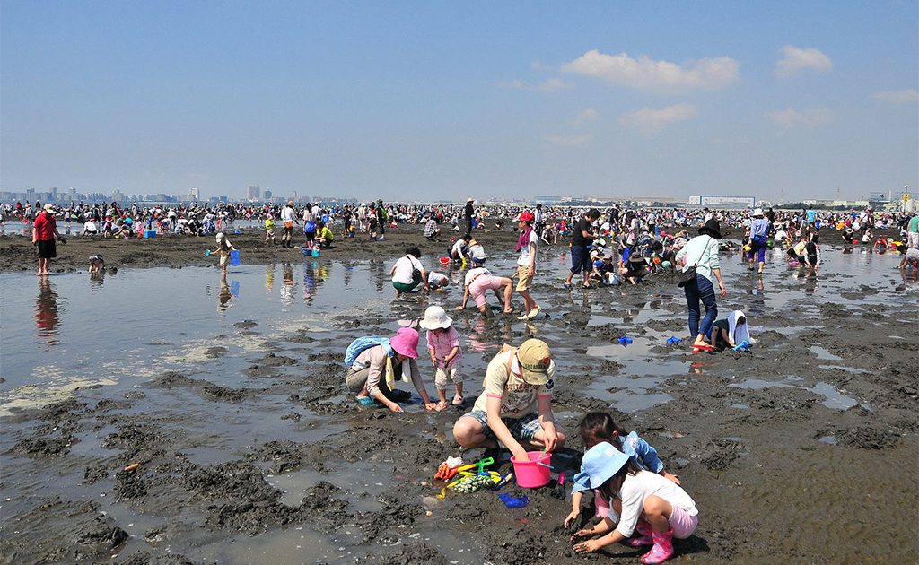 宝探しも?! 千葉県の潮干狩り場（2025）富津・木更津・船橋三番