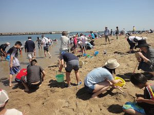 三重・大阪・兵庫（関西）の潮干狩り場（2025）入場無料やマテ貝も人気