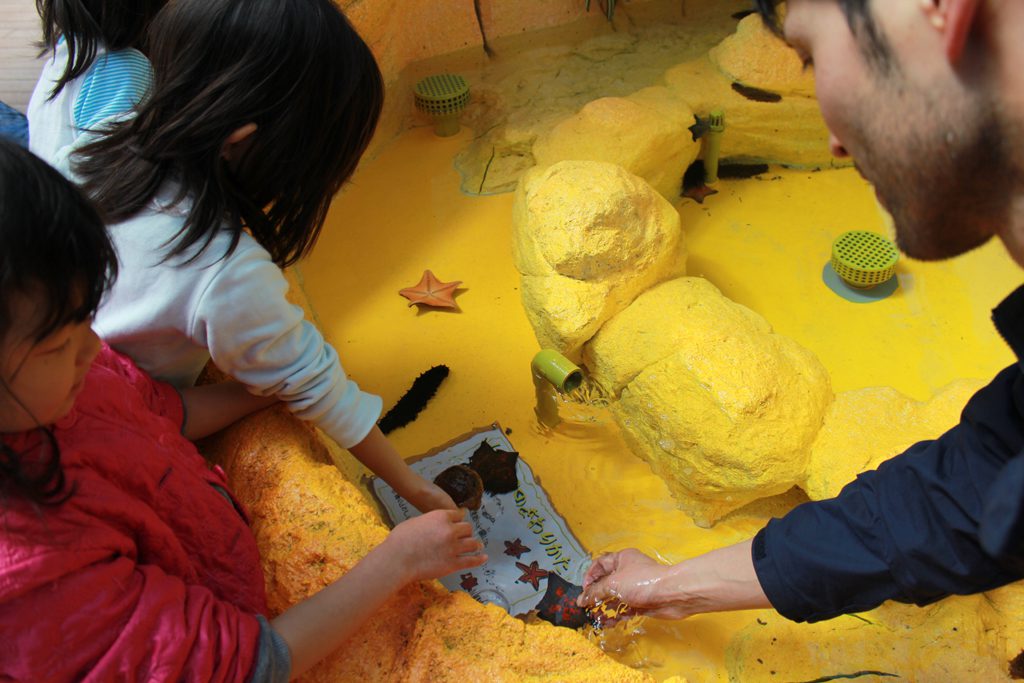 ヒトデやナマコなどにタッチ/須磨海浜水族園(兵庫県神戸市)