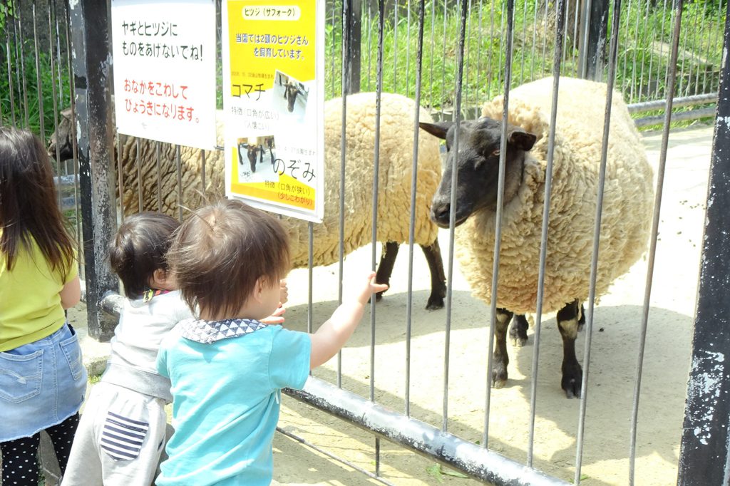 福岡市動植物園は、動物のエサやり体験から珍しい植物観察まで楽しみがいっぱい！