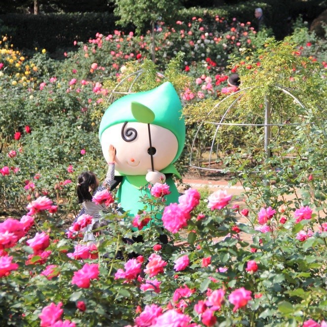 植物園エリアの屋外のバラ園/福岡市動植物園(福岡県)
