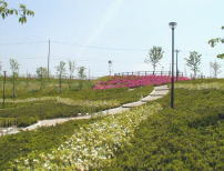 半田市の市の花、さつきが1万本も植えられている「さつき園」／半田運動公園（愛知県）
