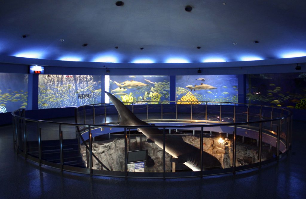 展示施設「魚の国」／京急油壺マリンパーク（神奈川県／三浦市）