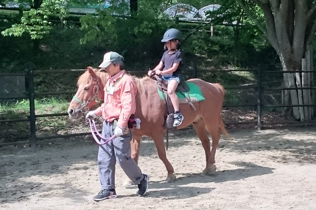 無料でポニーに乗れるアニマルライドコーナーが人気の「盛岡市動物公園」
