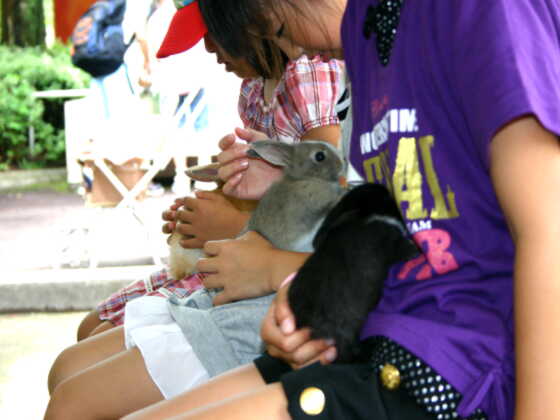 小動物を抱っこできる「こどもどうぶつえん」の様子/盛岡市動物公園(岩手県/盛岡市)