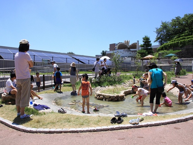 播磨地方の自然の池を再現した屋上のビオトープ／姫路市立水族館（兵庫県／姫路市）