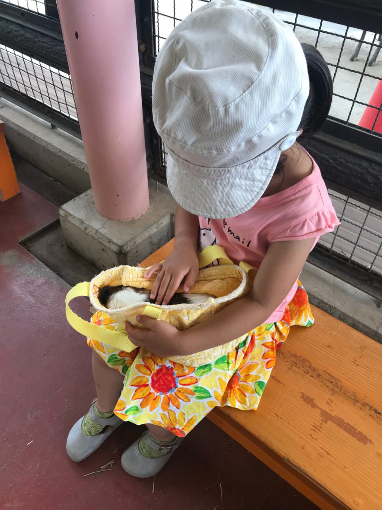 ふれあいハウス」でモルモットとふれあう様子/須坂市動物園(長野県/須坂市)