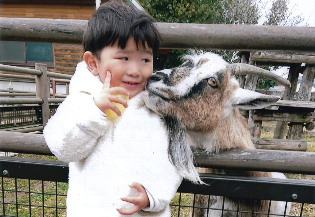 福山市立動物園は日本唯一のボルネオゾウが人気！猛獣などにえさやりも！