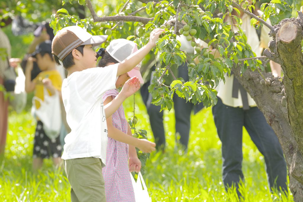 くだもの狩りのイメージ