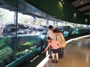 魚にふれながらエサやり?! 相模川ふれあい科学館は、ユニークな体験がある水族館