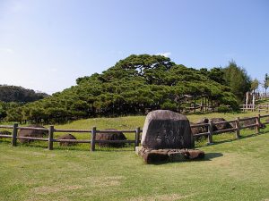 沖縄県のホタル観賞スポット!久米島のクメジマボタルやオキナワスジボタルなど