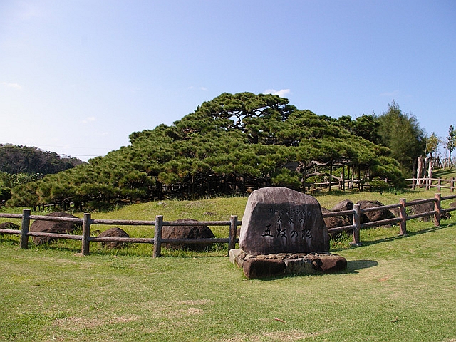 五枝の松園地（沖縄県／島尻郡久米島町）