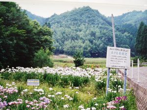 栃木県のホタル観賞スポット・ホタル祭り!ゲンジボタルが舞う里へ