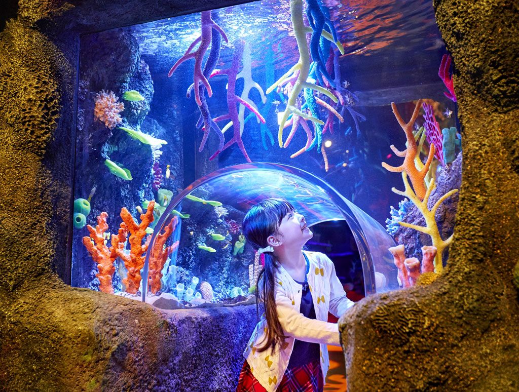体験型水族館「シーライフ名古屋」の子どもがワクワクするポイントは？