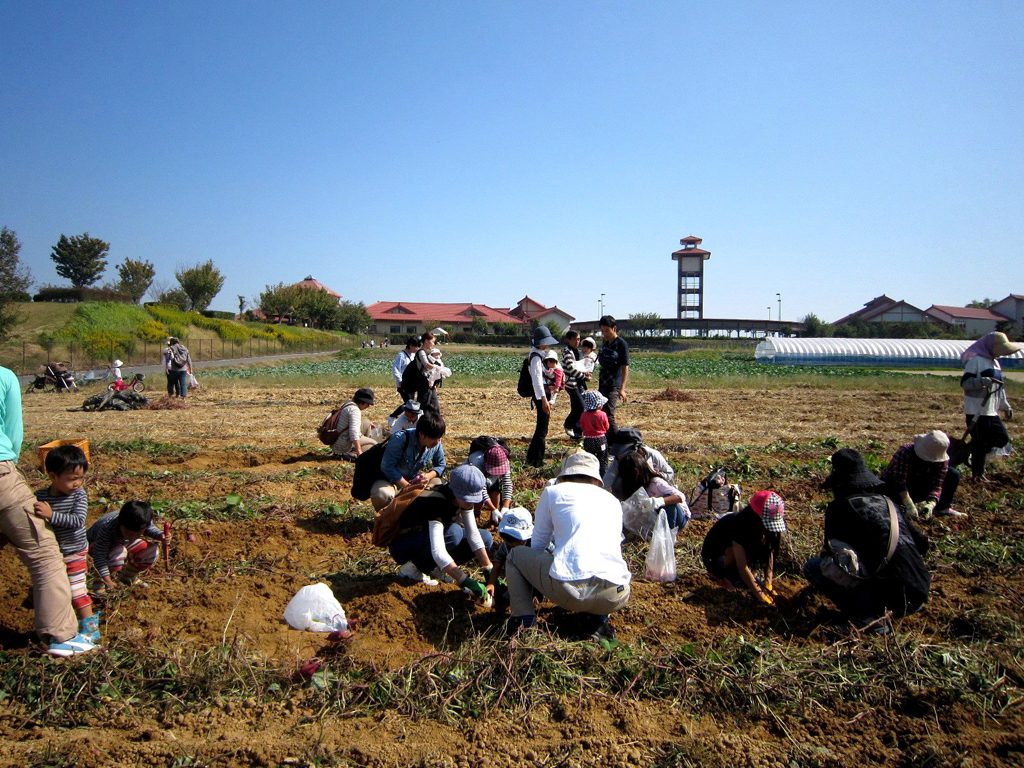 体験農園の様子/JAあぐりタウンげんきの郷(愛知県/大府市)