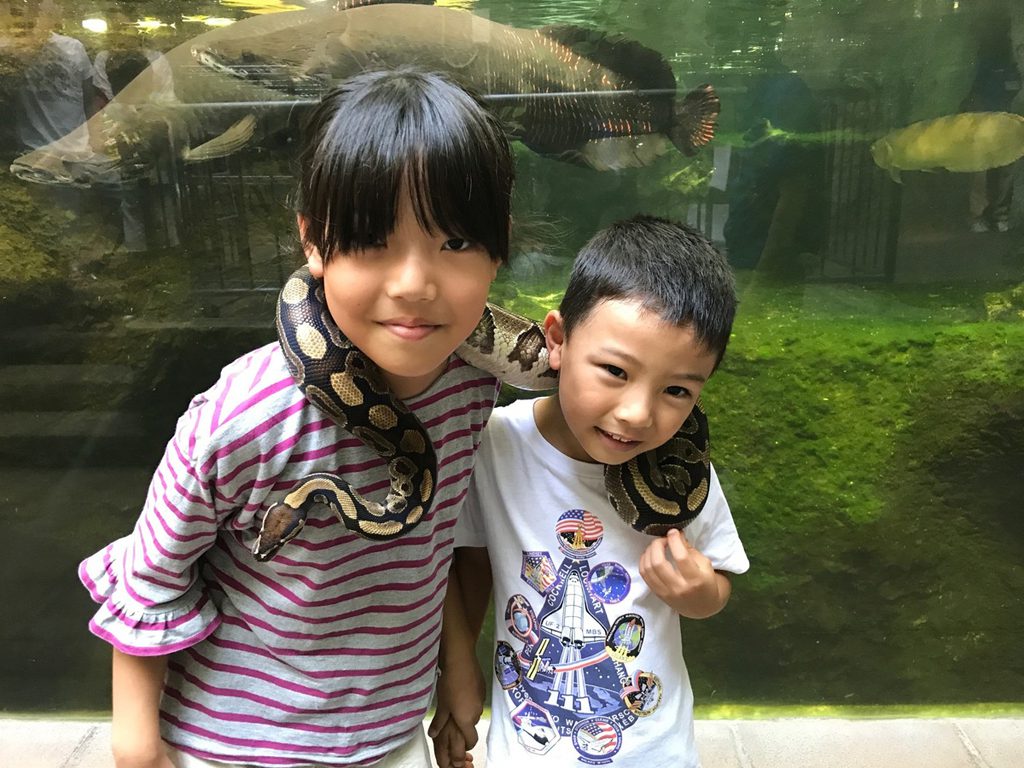 昆虫や爬虫類も人気！足立区生物園（東京）で300種類の動物を観察しよう