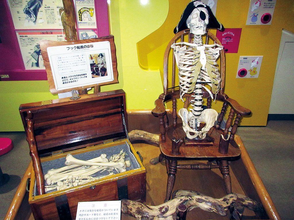 「フック船長のほね」を組み立てるパズル/栃木県子ども総合科学館(宇都宮市)