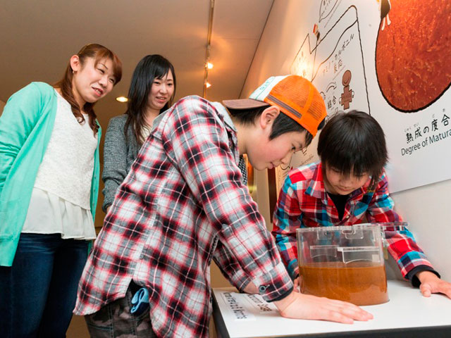 発酵・熟成中のもろみを展示／キッコーマンもの知りしょうゆ館（千葉県／野田市）