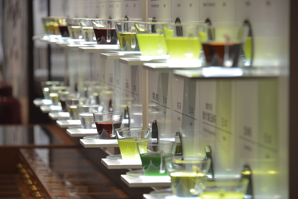 世界各国から集めためお茶を展示／ふじのくに 茶の都ミュージアム（静岡県／島田市）