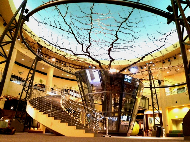 圧巻の樹齢74年の巨木／鳥取二十世紀梨記念館 なしっこ館（倉吉市）