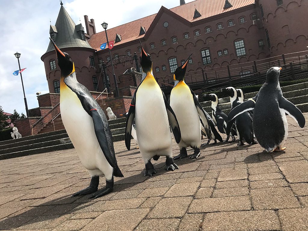 ペンギンパレードの様子/登別マリンパーク ニクス(北海道/登別市)