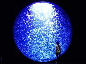 東北のおすすめ水族館8選!クラゲの世界やふれあい・体験が大人気