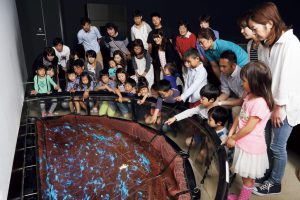 北陸のおすすめ水族館7選！豊富なふれあい体験とジンベエザメが人気