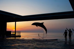 甲信越のおすすめ水族館7選！話題の新潟、個性的な山梨・長野