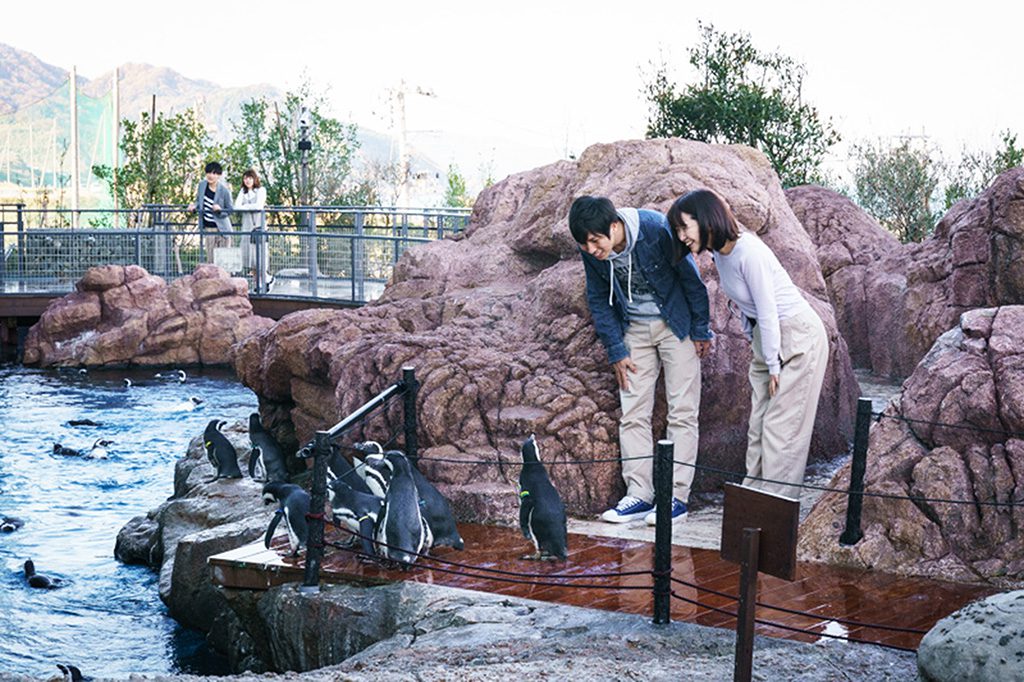 マゼランペンギンミュージアム/上越市立水族博物館うみがたり(新潟県/上越市)