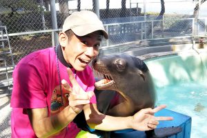 四国のおすすめ水族館7選＆続々誕生する話題の新水族館をチェック