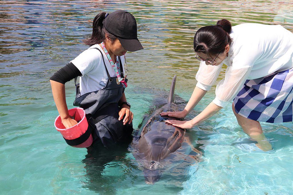 イルカのわくわくタッチ/志布志湾海の駅 海鮮市場&イルカランド(宮崎県/串間市)