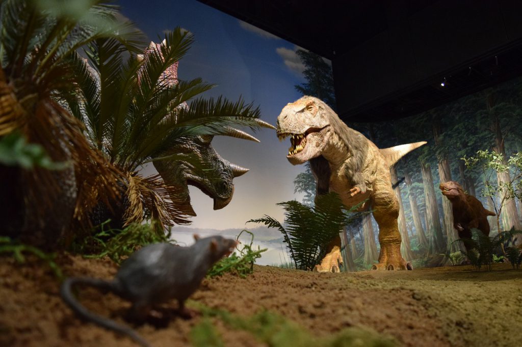 動く恐竜の展示:ティラノサウルス/ミュージアムパーク茨城県自然博物館(坂東市)